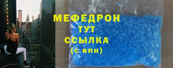хмурый Аркадак