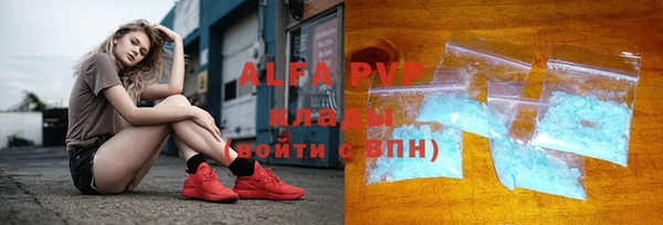 хмурый Аркадак