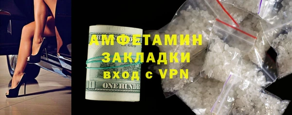 хмурый Аркадак