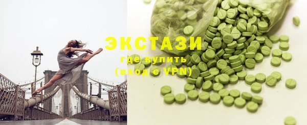 хмурый Аркадак