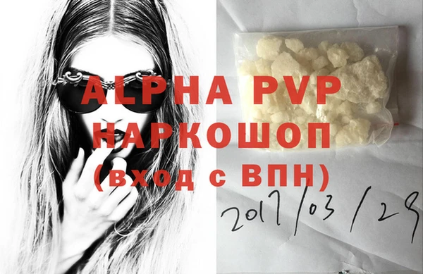 хмурый Аркадак