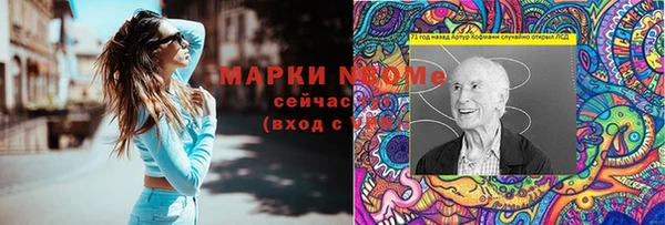 хмурый Аркадак