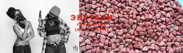 хмурый Аркадак